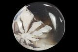 1.5 to 2" Polished Flower Agate Pebble - 1 Piece - Photo 3